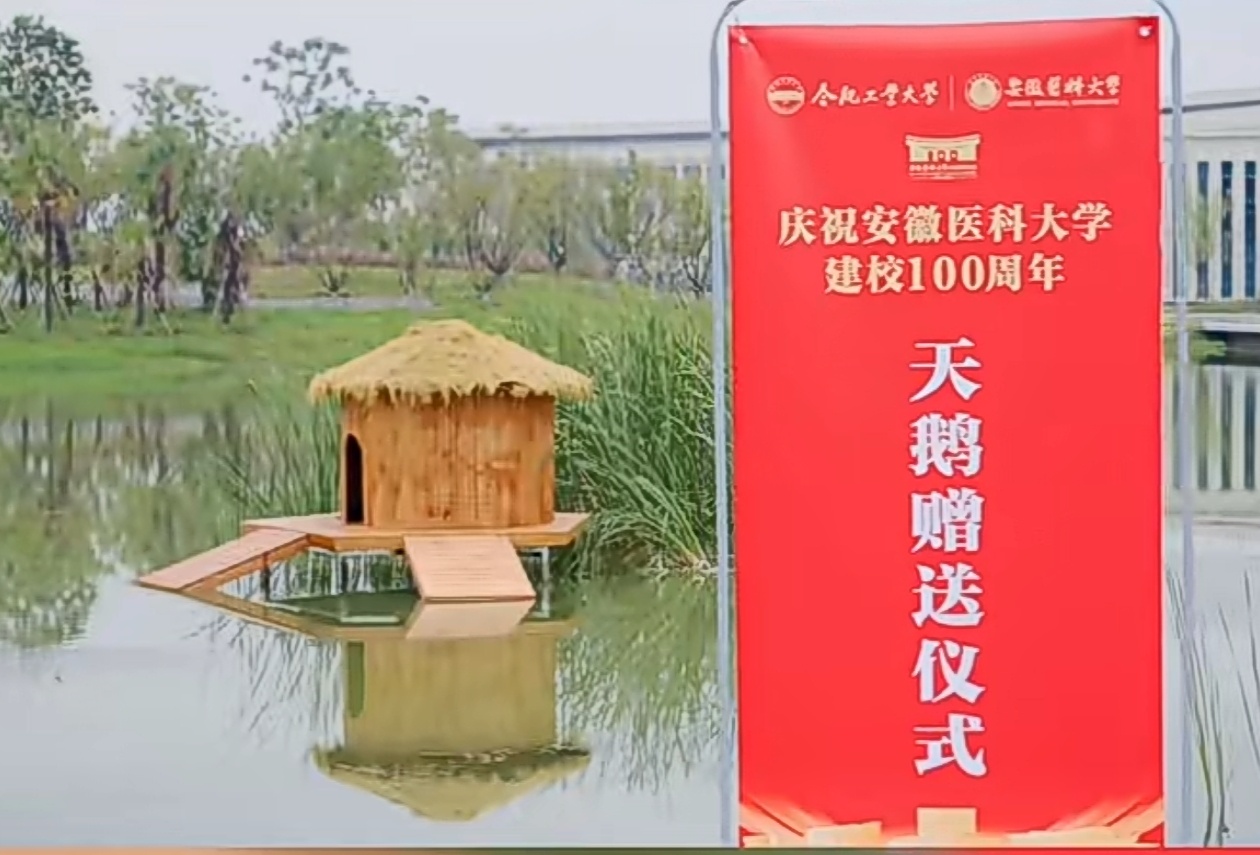 安医大百年校庆合工大送安医大一对黑天鹅，你们看一下图赠送仪式感还是有的。然后网友