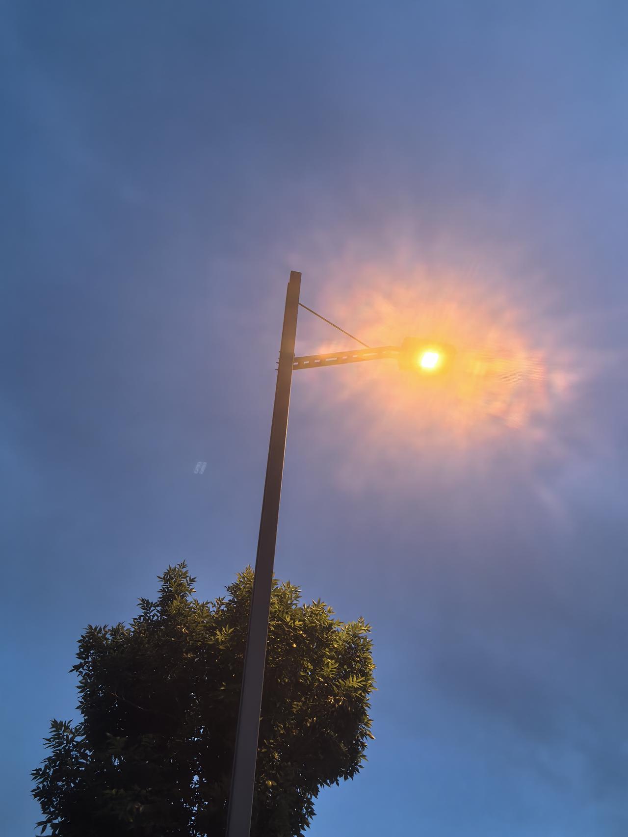 夕阳西下，街灯初上，树影婆娑，静谧美好。