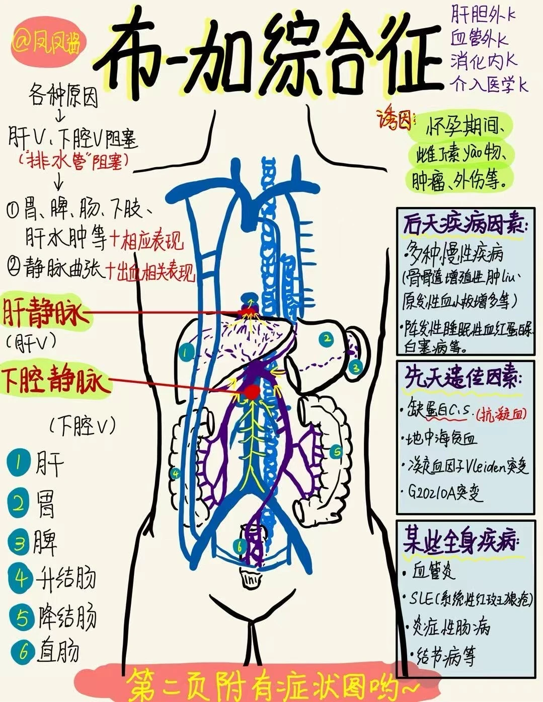 📖 医学生笔记| 布加综合征 建议点赞收藏