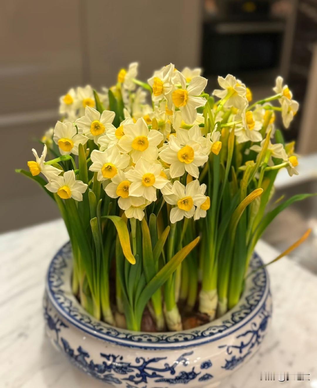 泰山奶奶我来了，还有我的奶奶，等我，多年前生病得知您在泰山，一直没有看您，这次我