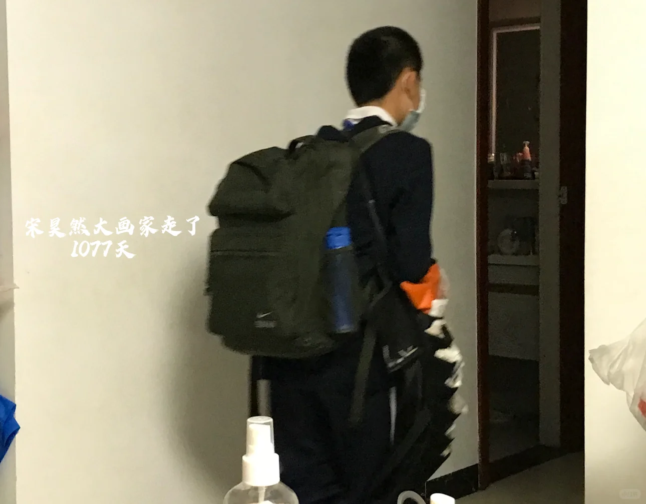 宋昊然大画家走了1077天