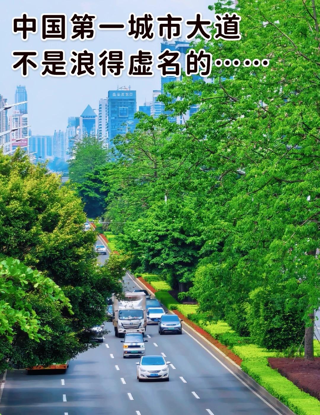 还有谁不服？如此美丽……
这个季节的民族大道虽然没有五彩斑斓的话，但是绿意盎然，