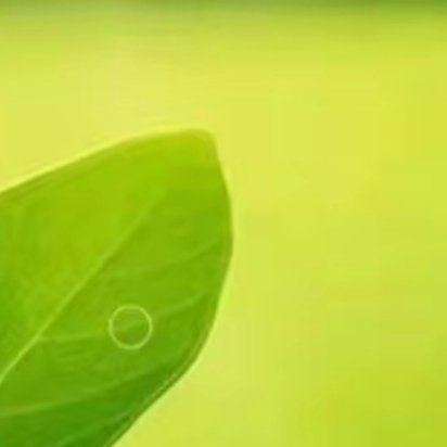 对每一件热爱的事物全力以赴，时光一定会让你满载而归。早安