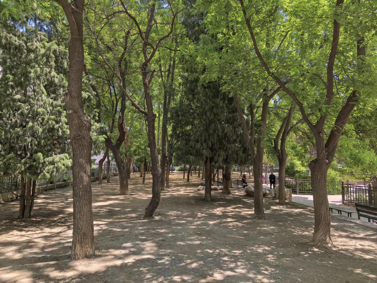 夏天来了，如果哪个老旧小区，有了这么一片小树林，是不是很得劲儿啊？老头老太太们在