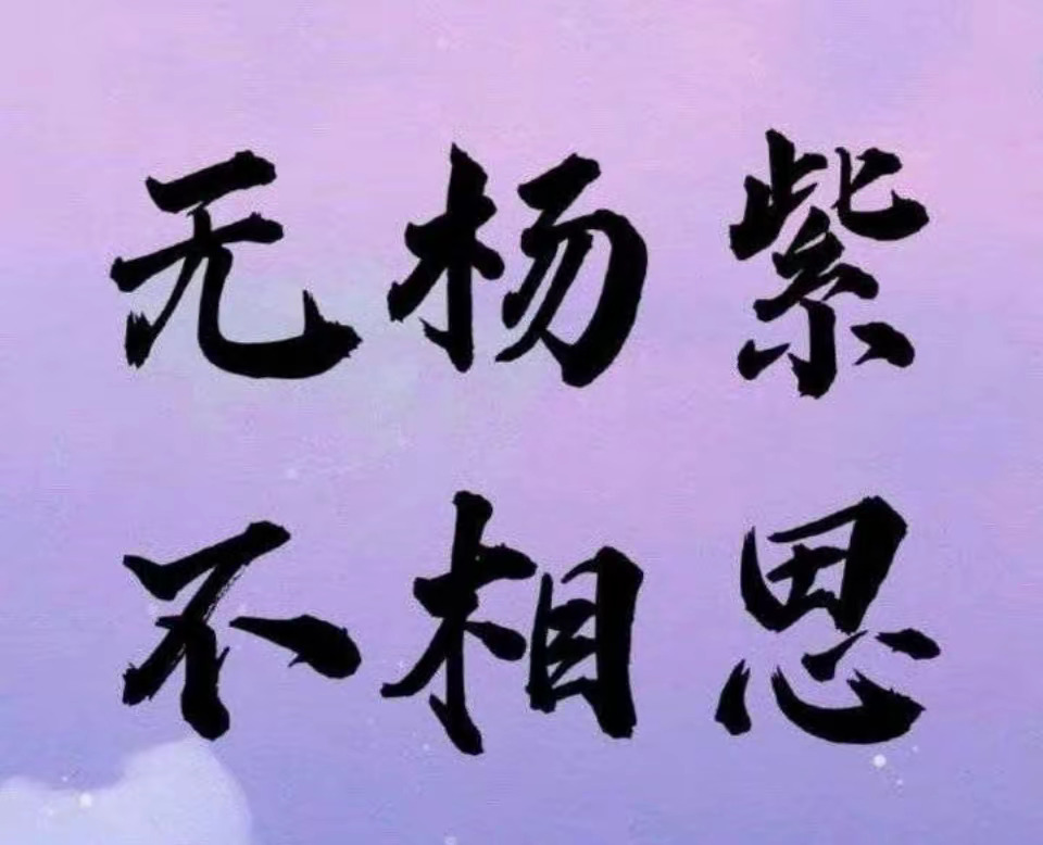 电视剧长相思 无杨紫不相思 杨紫长相思唯一体面人 