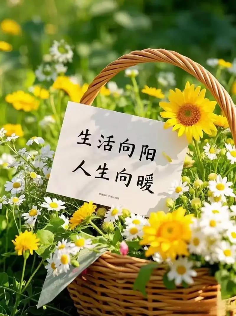 遇见你之前，我的世界如同一部黑白默片，单调乏味，毫无生机。每天机械般地穿梭于繁忙