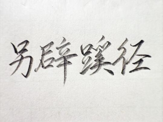 硬笔书法，四字成语