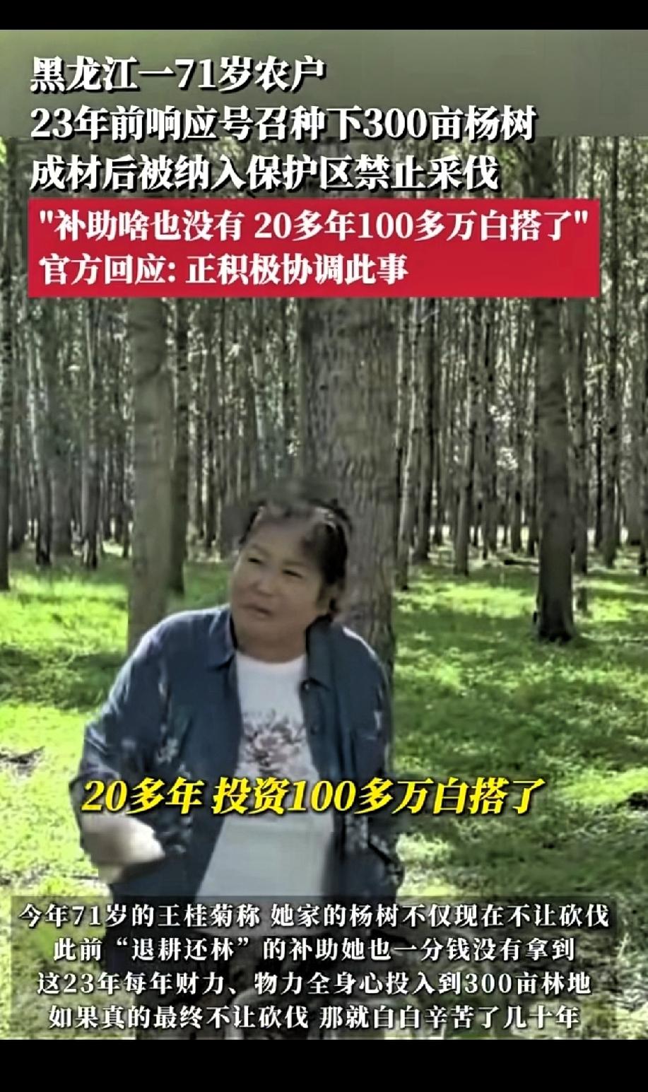 黑龙江一71岁农户，23年前响应号召种下300多亩杨树，成才后被纳入保护区禁止砍