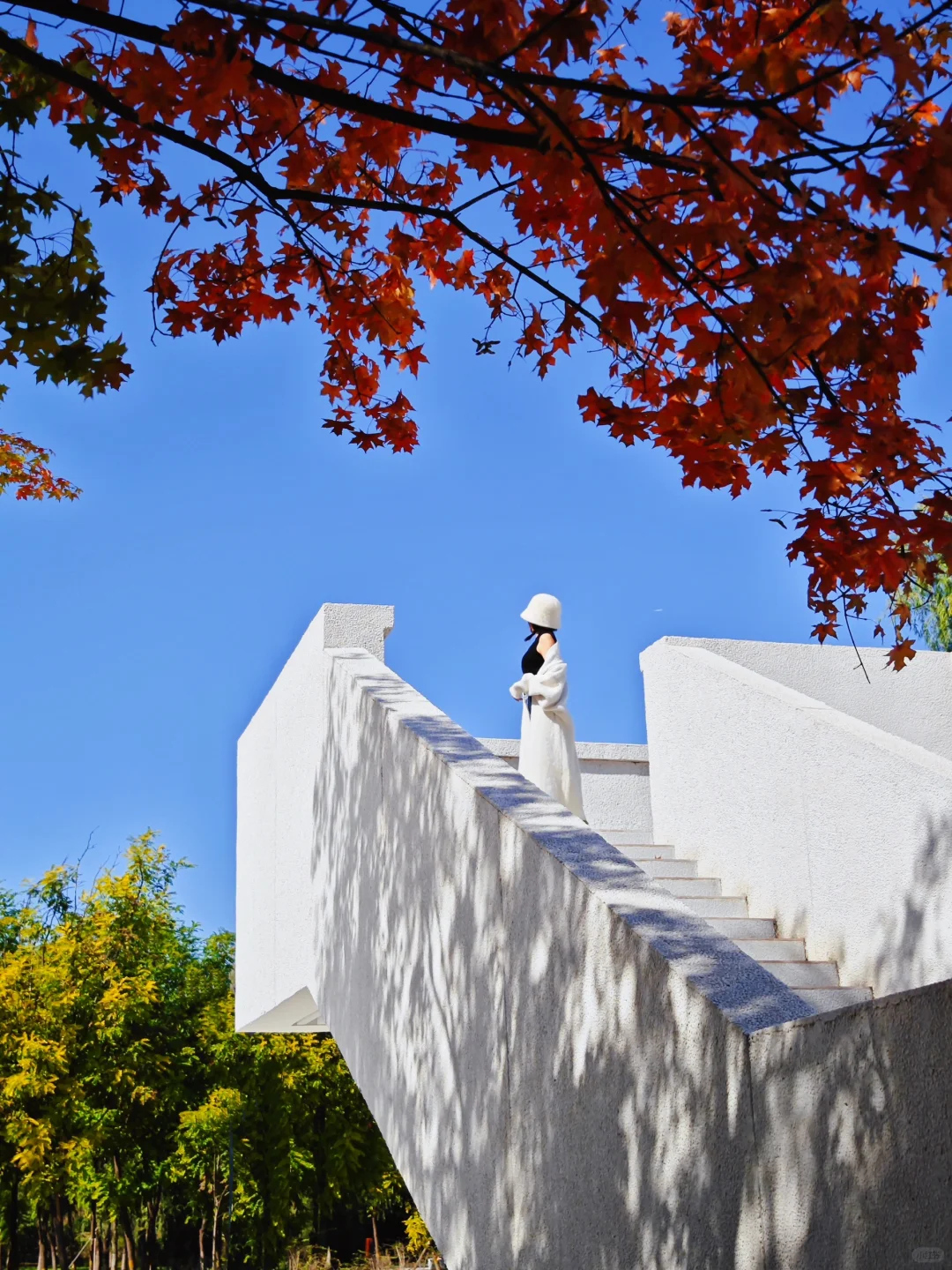 北京新开免费宝藏公园，拍照遛娃两不误