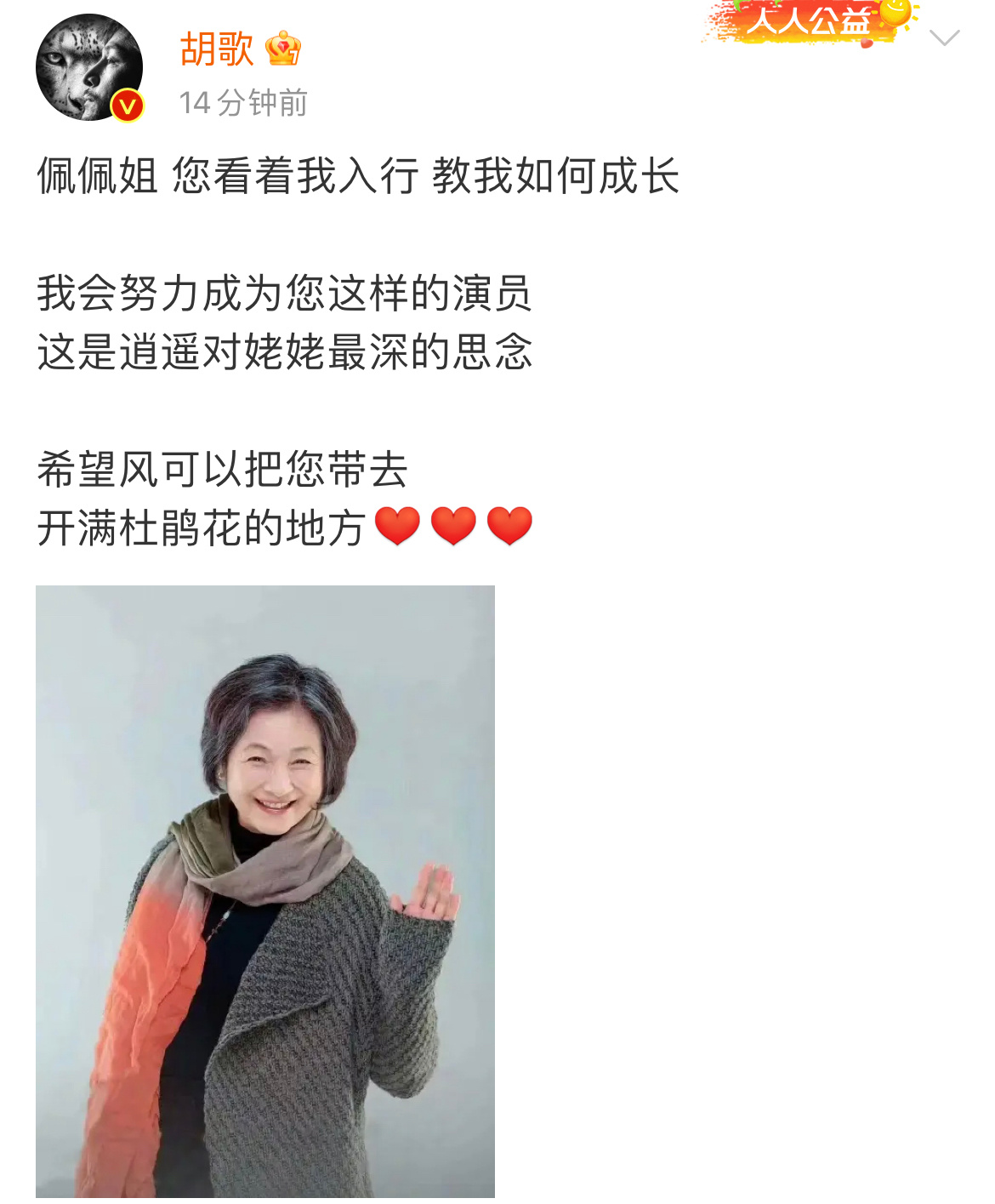 胡歌发文悼念郑佩佩：“佩佩姐 您看着我入行 教我如何成长   我会努力成为您这样
