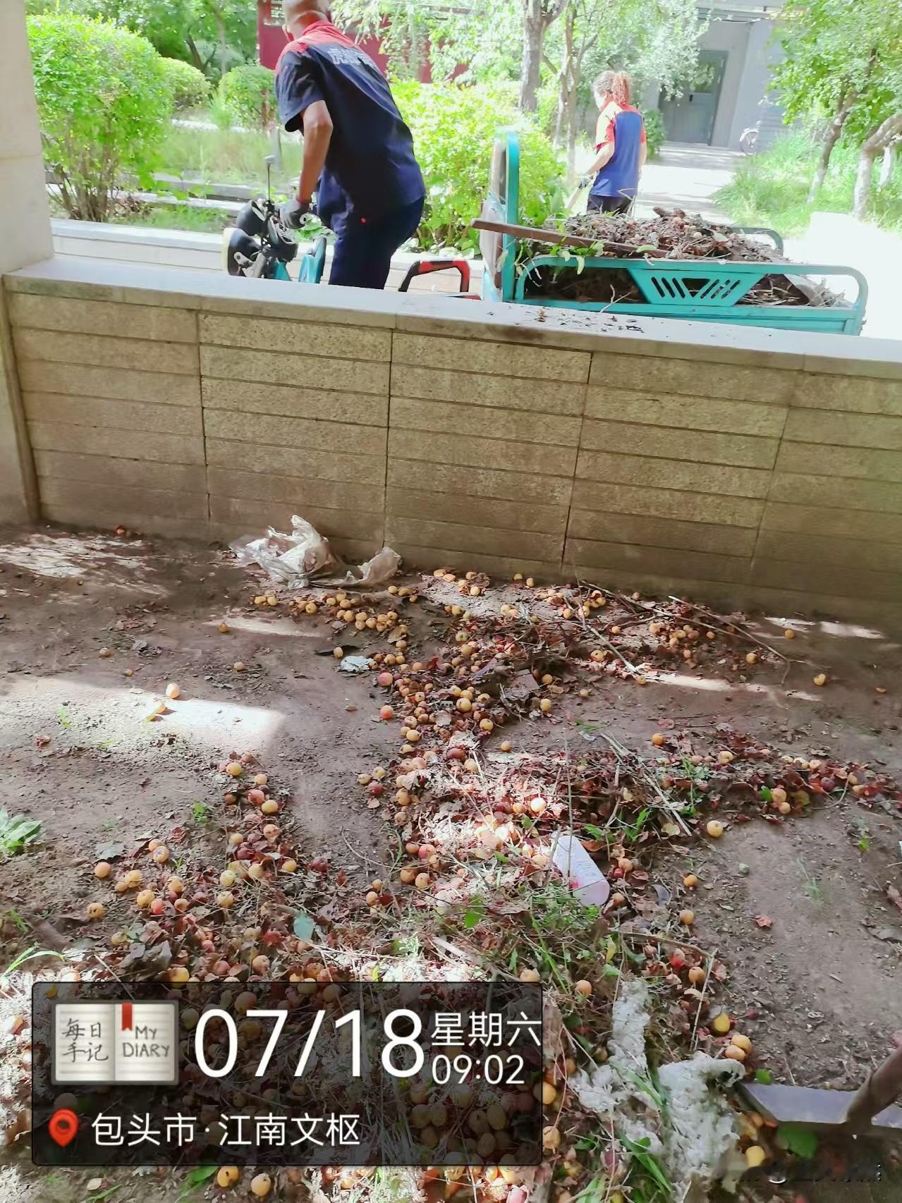 江南文枢苑这业委会成员的操作真是让人惊掉下巴！阻挠电梯安全宣传，还大言不惭说权利