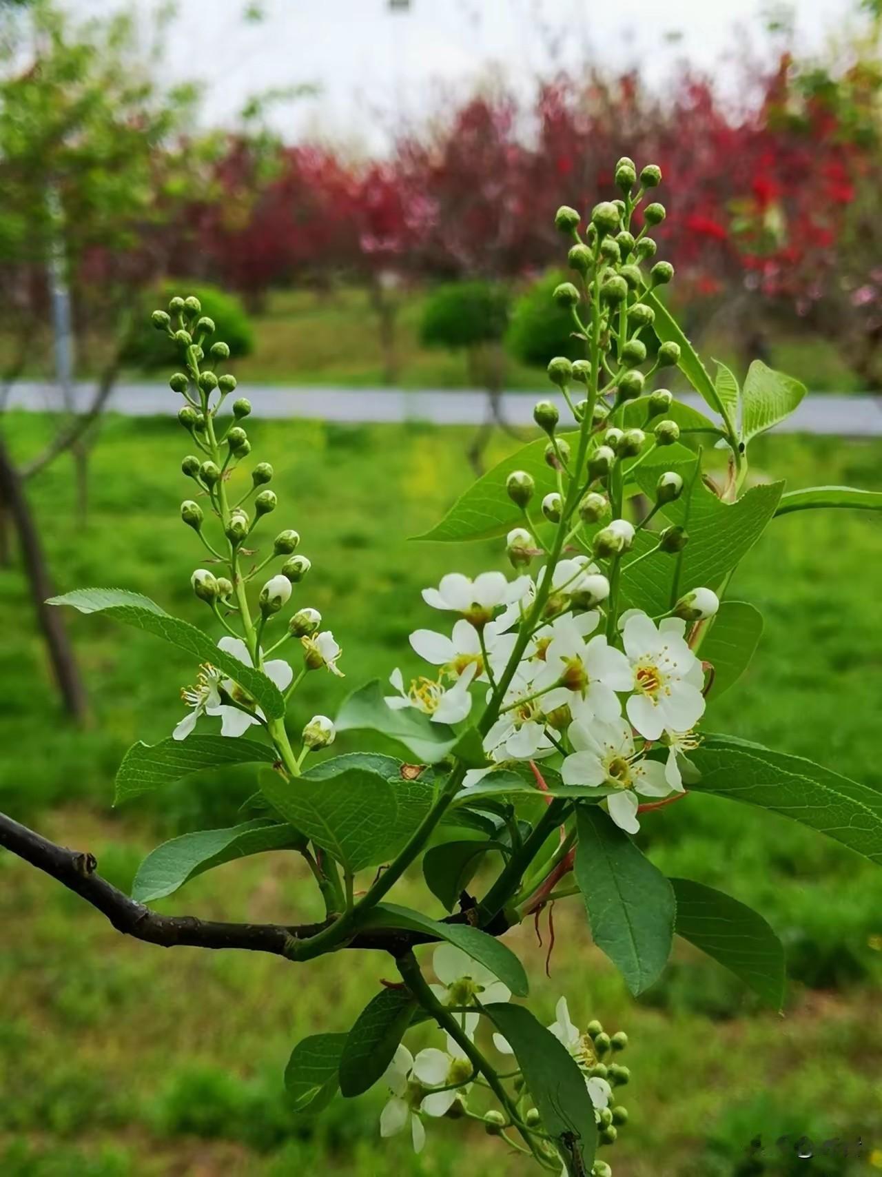 这些节俭存钱好习惯，你学会了吗
 
1. 节俭不是抠门，是对人生的掌控力
真正的