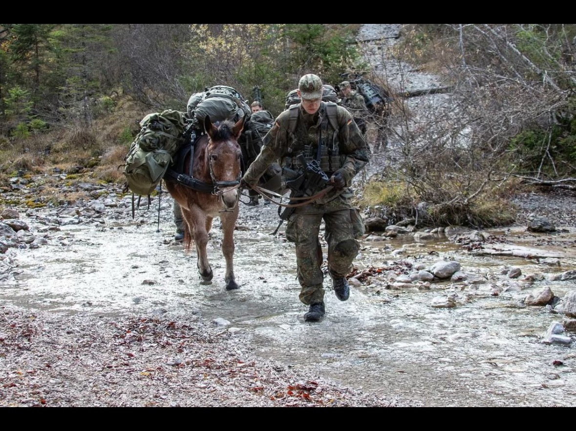 天天嘲笑俄罗斯的来看看谁才是正统的第三骡马帝国 