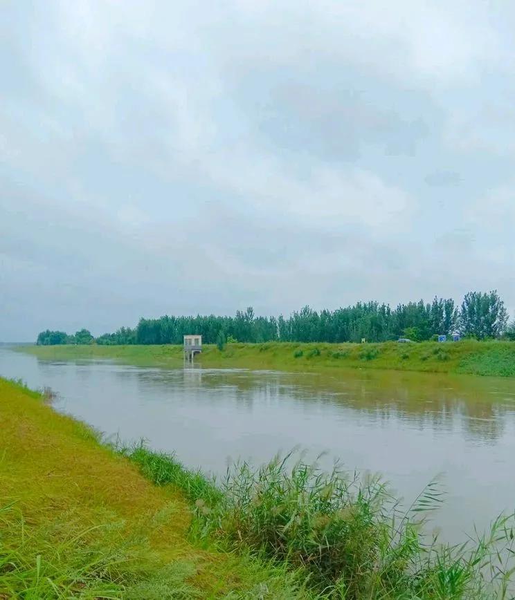青岛胶州市南胶莱河水质提升及生态修复项目拟实施。项目由胶莱街道办事处建设，总投资