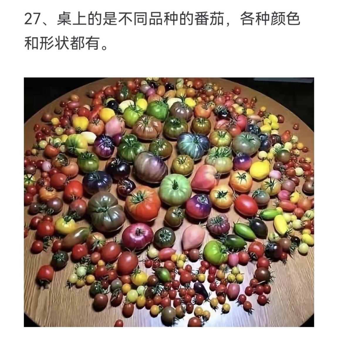 原来西红柿有这么多品种？