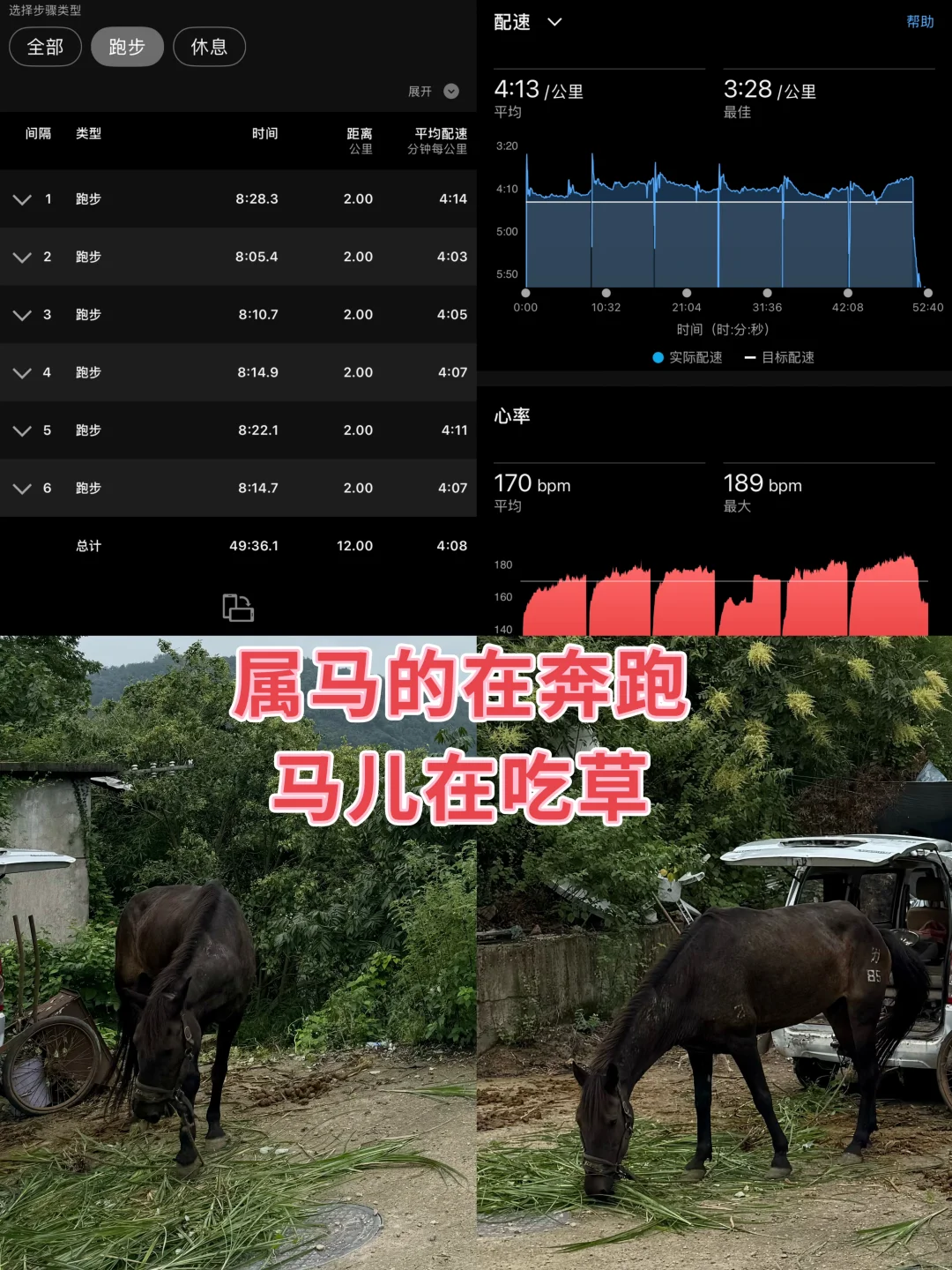 🏃马拉松训练时遇见真马🐎有种莫名的搞笑🤪