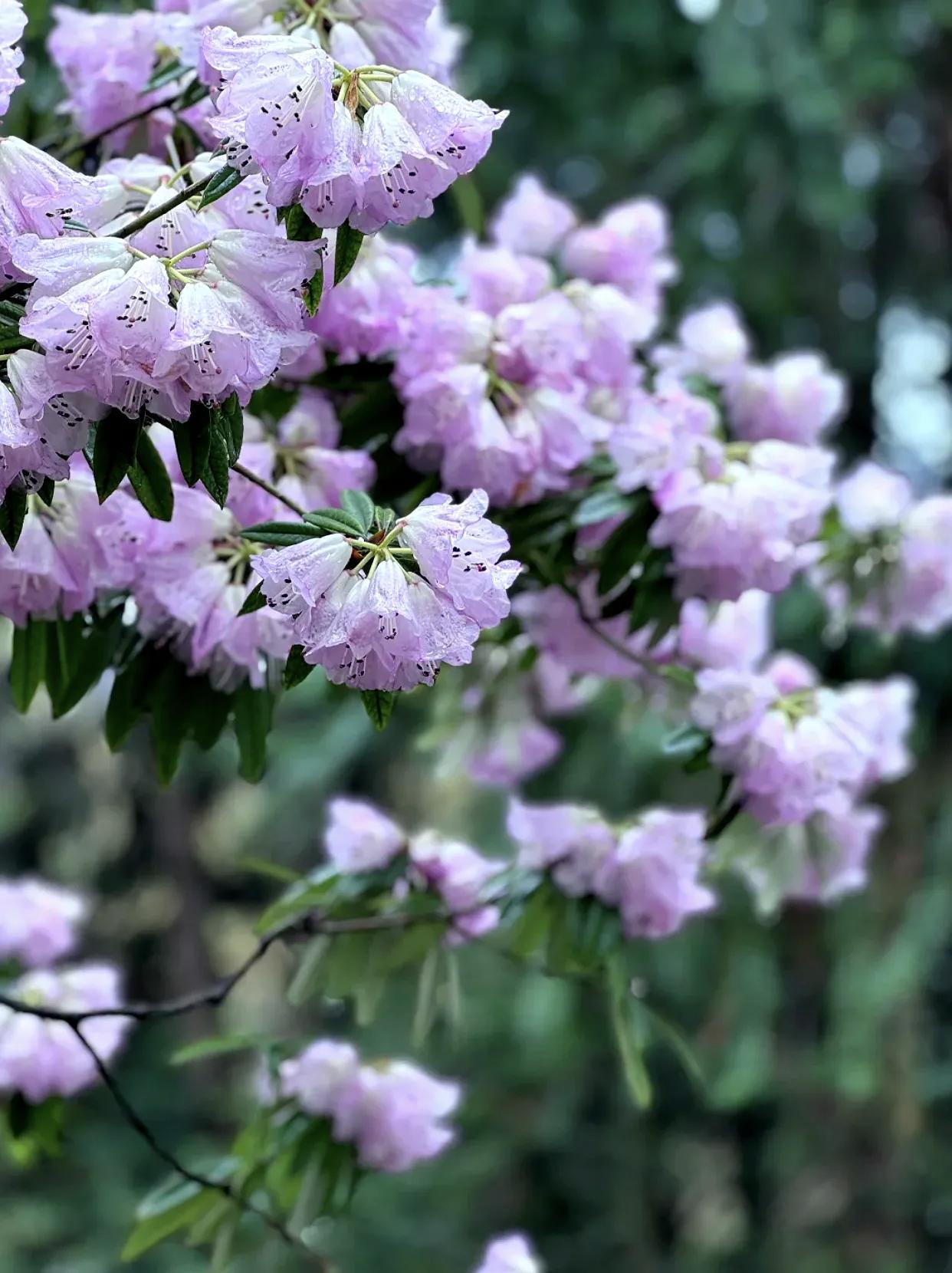 【读书，就是一个让生命变得更加辽阔的过程】
        读书，真的能让生命变