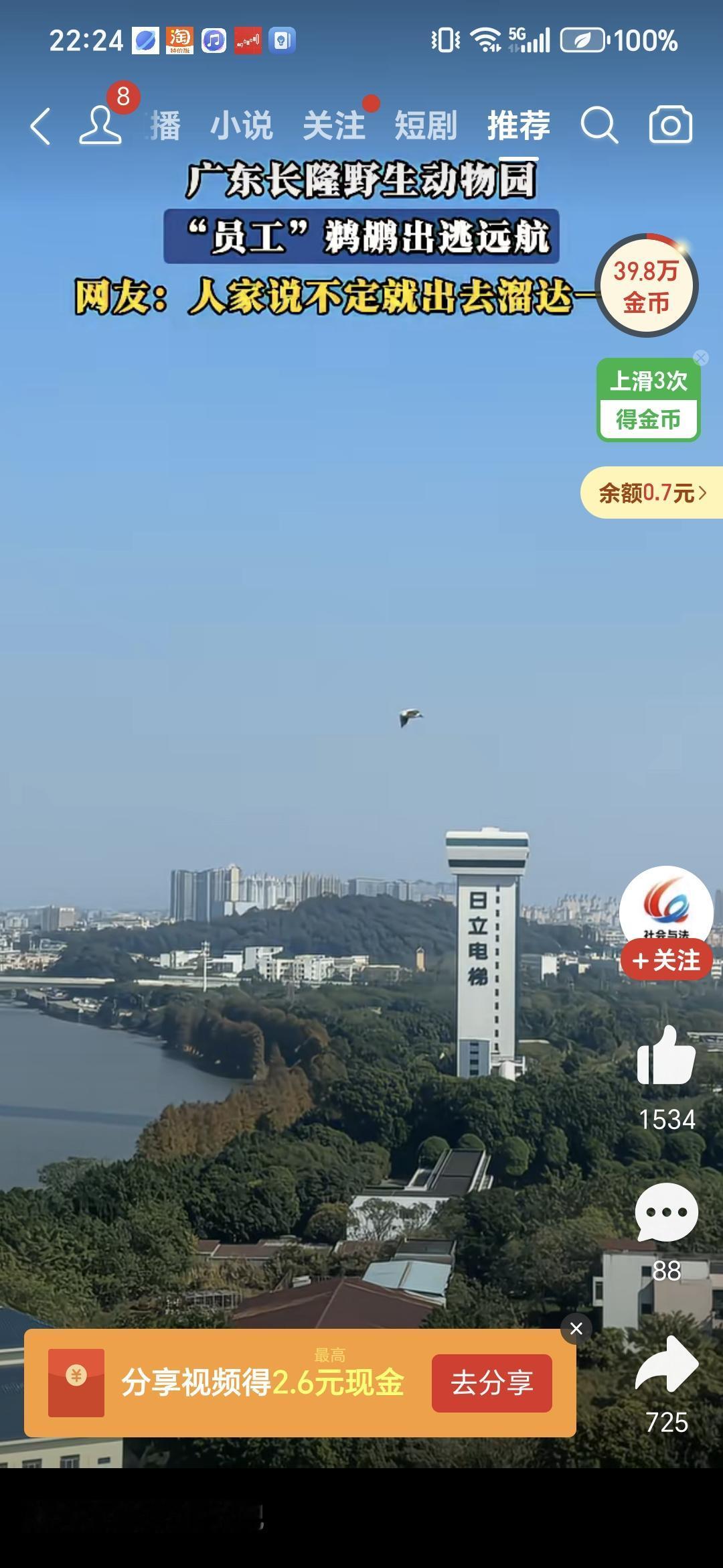 广州长隆动物园出逃的鹈鹕[捂脸][捂脸]