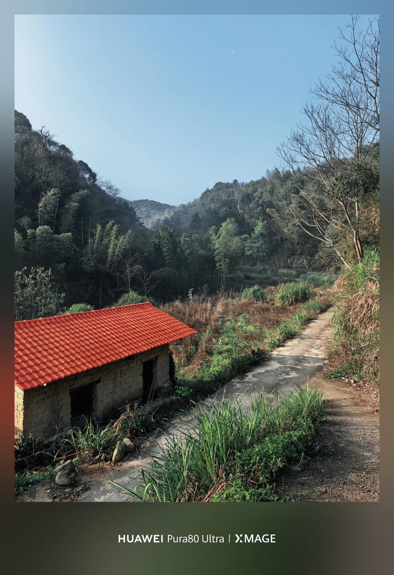 今早一看阳光明媚，竹林的雾气跟仙境似的，小红瓦屋这清澈，真的太好看了。

这就是