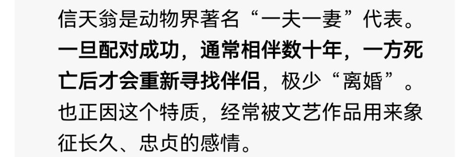 开头给我们举的是信天翁的卡片。信天翁是一夫一妻极致专一的鸟， 跨越万里海洋只为奔