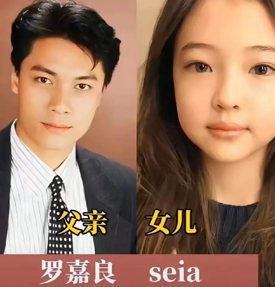明星爸爸和女儿。
罗嘉良与女儿合唱《红日》，表达了对女儿的深情和对生活的感慨。歌