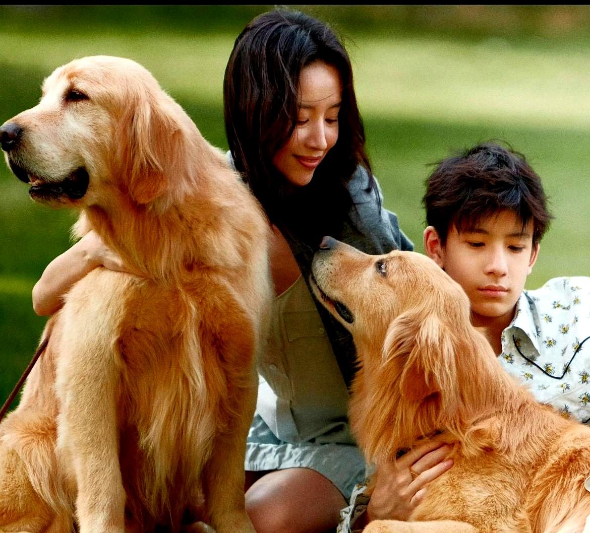 最狠的离婚，不是分开，是让父亲活成生日符号。
协议里有探视权，现实里没有门。