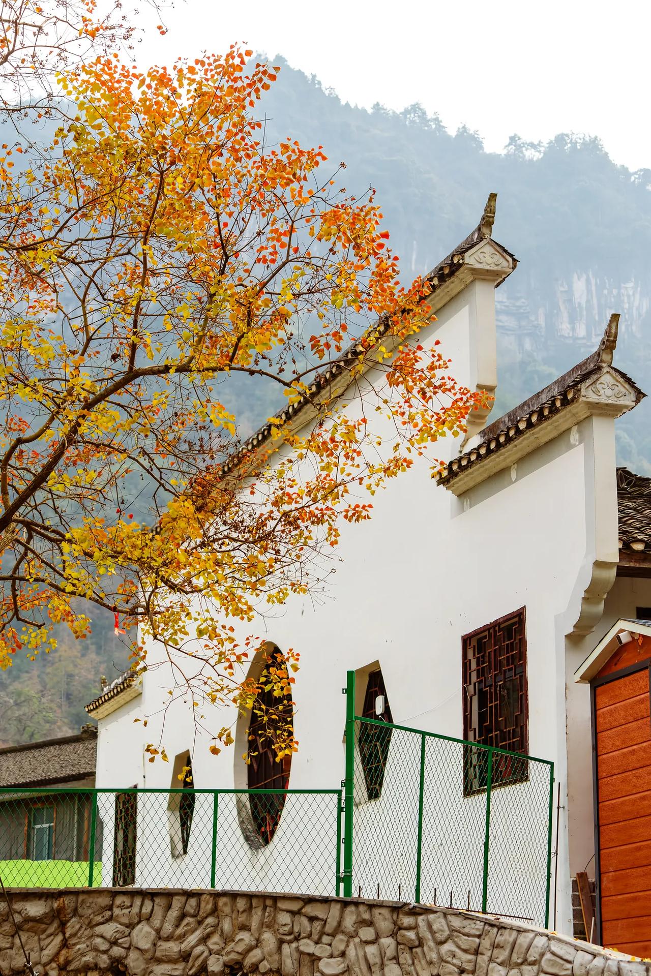 晚上 12:01 的时候，学生发来了信息，祝我新年快乐。其实，这个孩子在上学的时