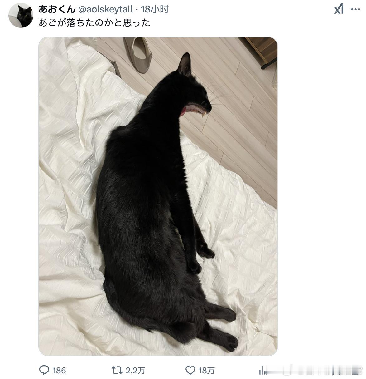 还以为猫猫下巴掉了呢[喵喵] 