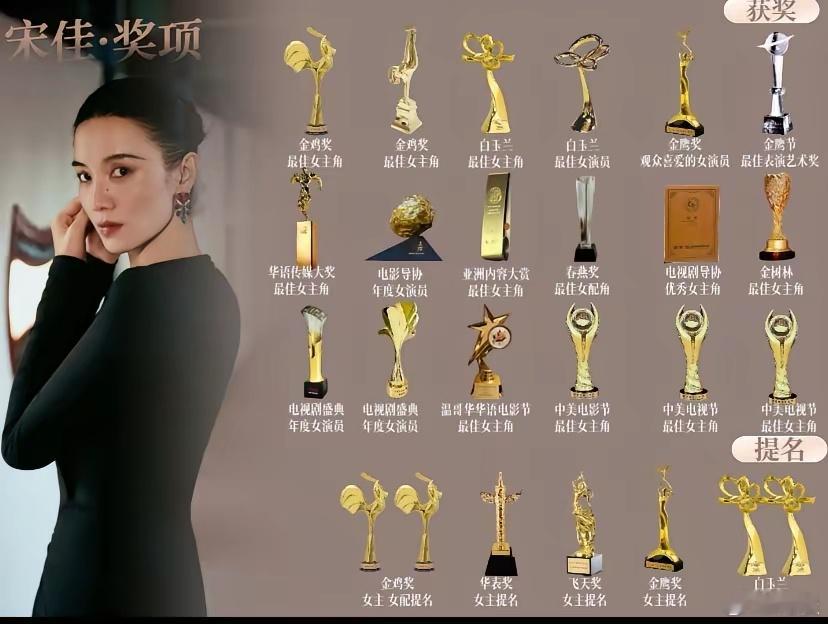 有网友说宋佳五个大奖水了三个给大家捋一下宋佳比较重要的奖，有两次白玉兰，两次金鸡