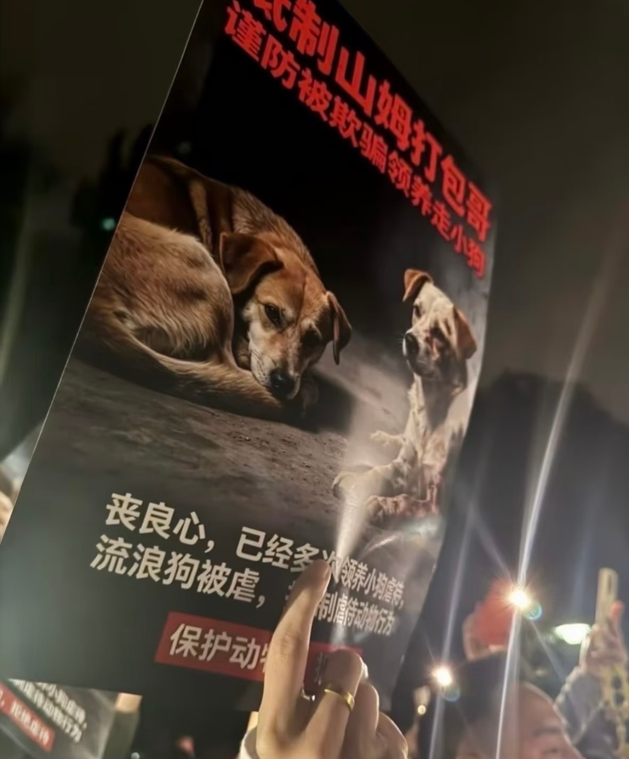 重庆山姆打包哥警方回应山姆打包哥虐待领养猫狗这心理也太变态了伪装成领养者把宠物狗