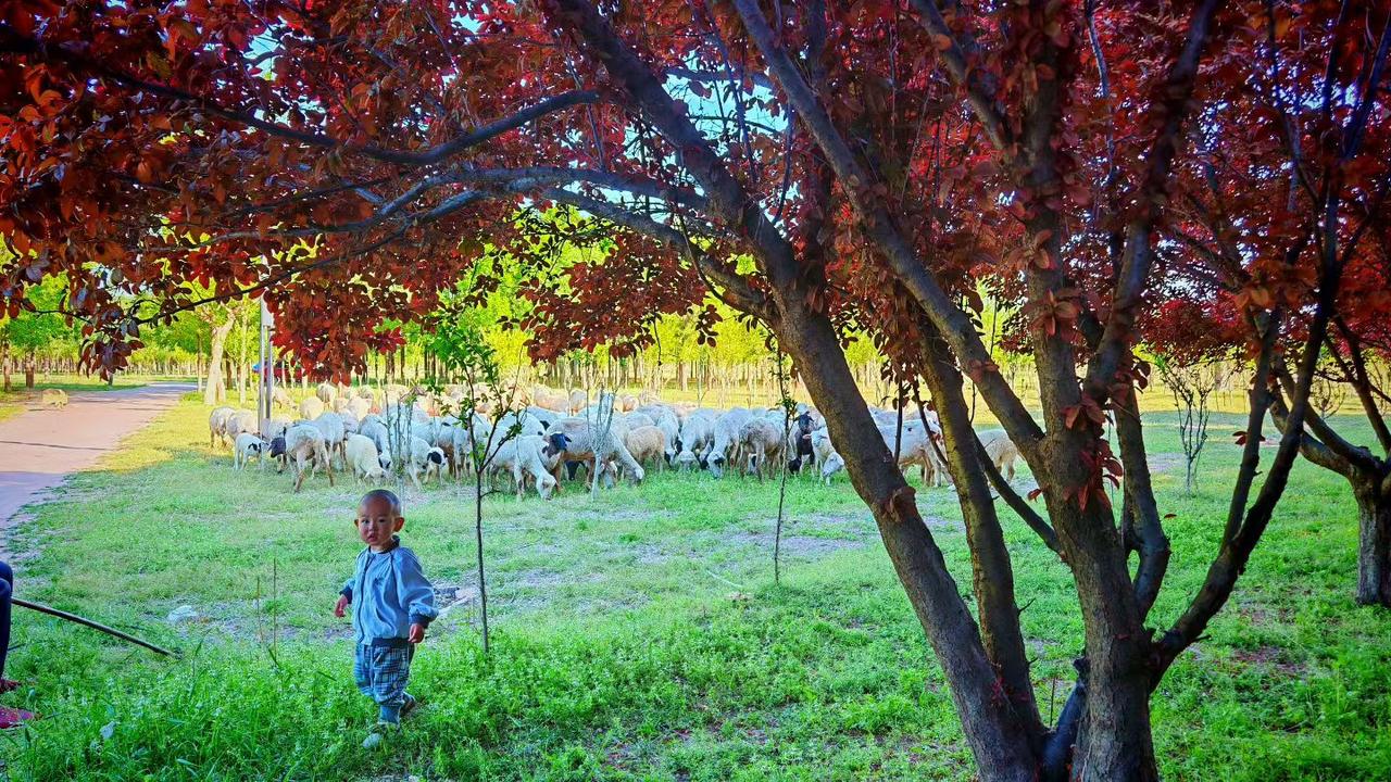 善良的人永远不会坏，但会在受伤后变得无情
 
老辈人常说，人心都是肉长的，天生心
