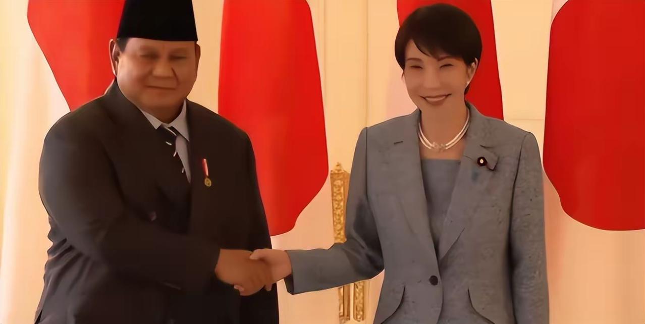 中方的胡萝卜喂饱了印尼，印尼感觉也吃腻了，想换换胃口。
2026年2月，印尼收紧