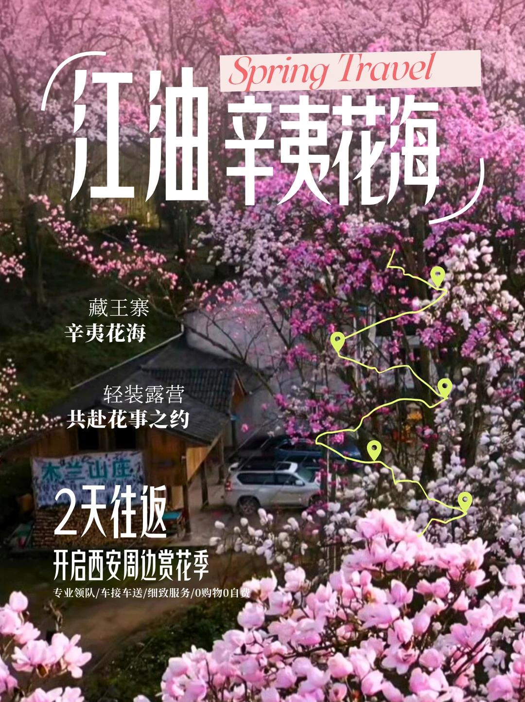 西安出发48H｜藏王寨+辛夷花🌸最全攻略