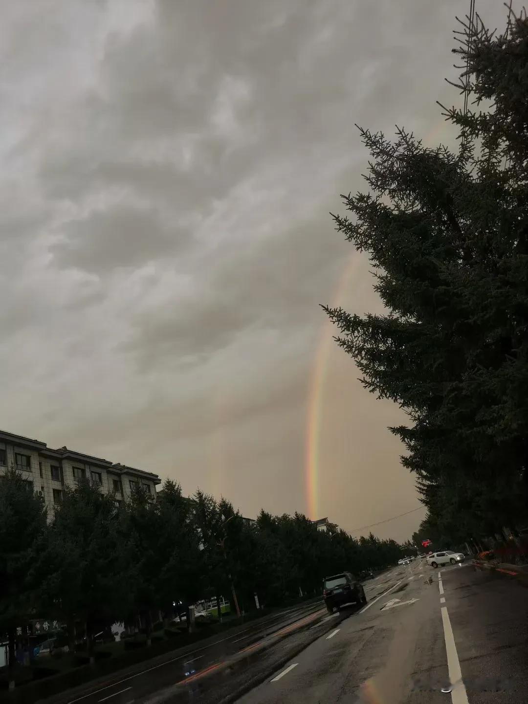 家乡秋天的雨是那样的肆意妄为。心情不好就随便下，想怎么下就怎么下，完全不顾及别人