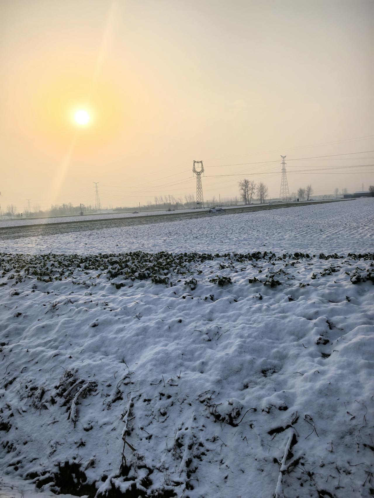 皖北第一场雪
就是小了点