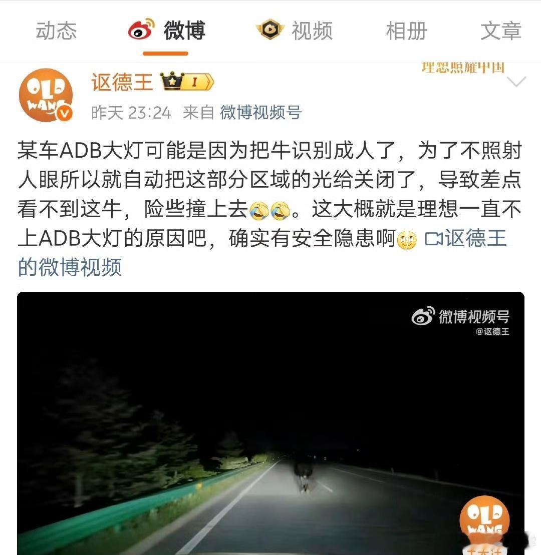 在晚上如果突然看见我的ADB大灯哪一块没照射，我就下意识的知道这一块一定有人或者