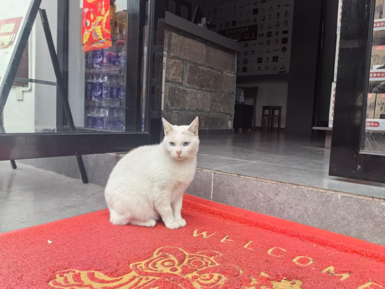 【热评】企业岂能随便制定禁售“政策”
张雪回应禁止新手买820RR摩托车

张雪