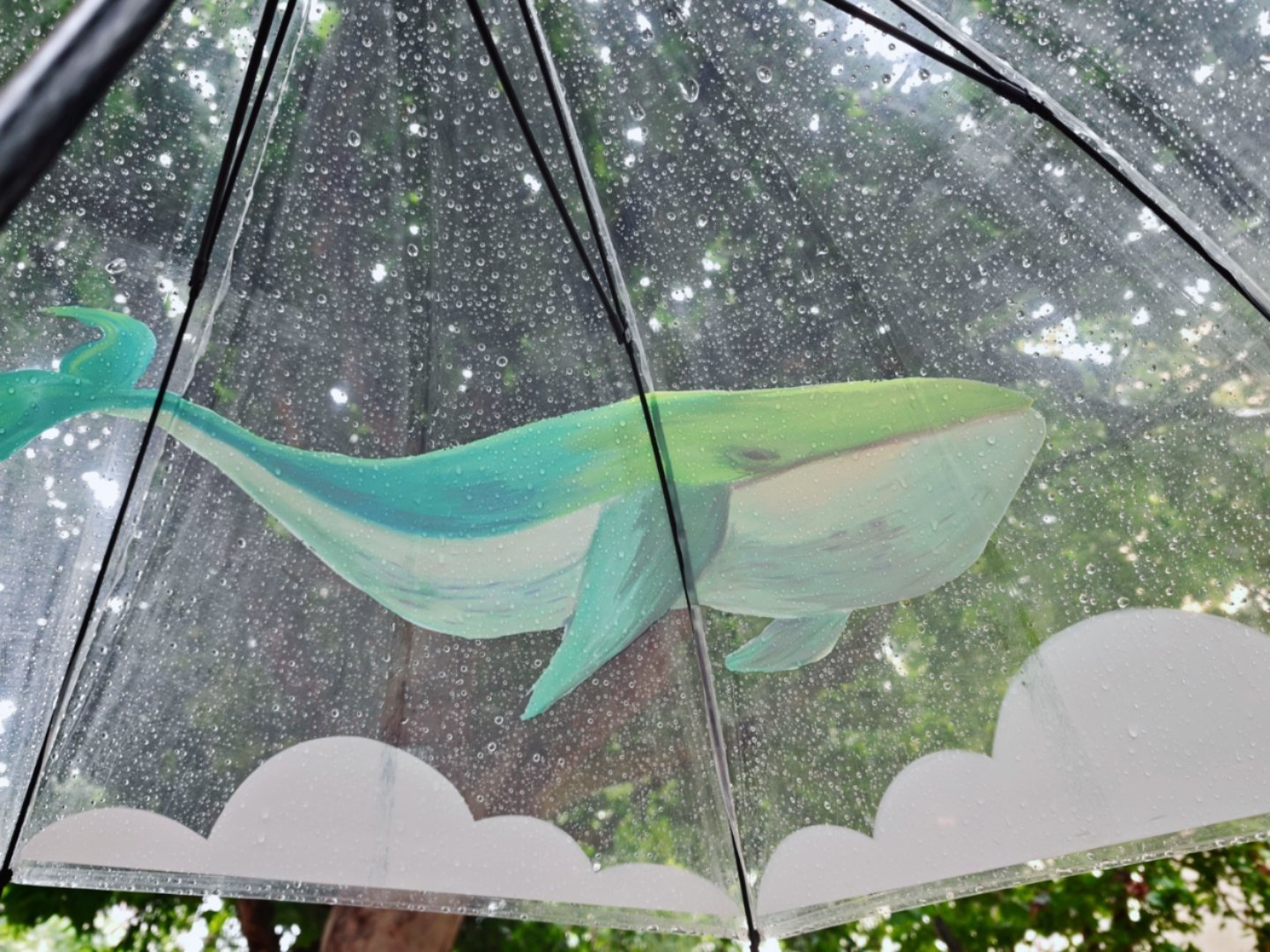 下雨了好凉快就这样入秋吧