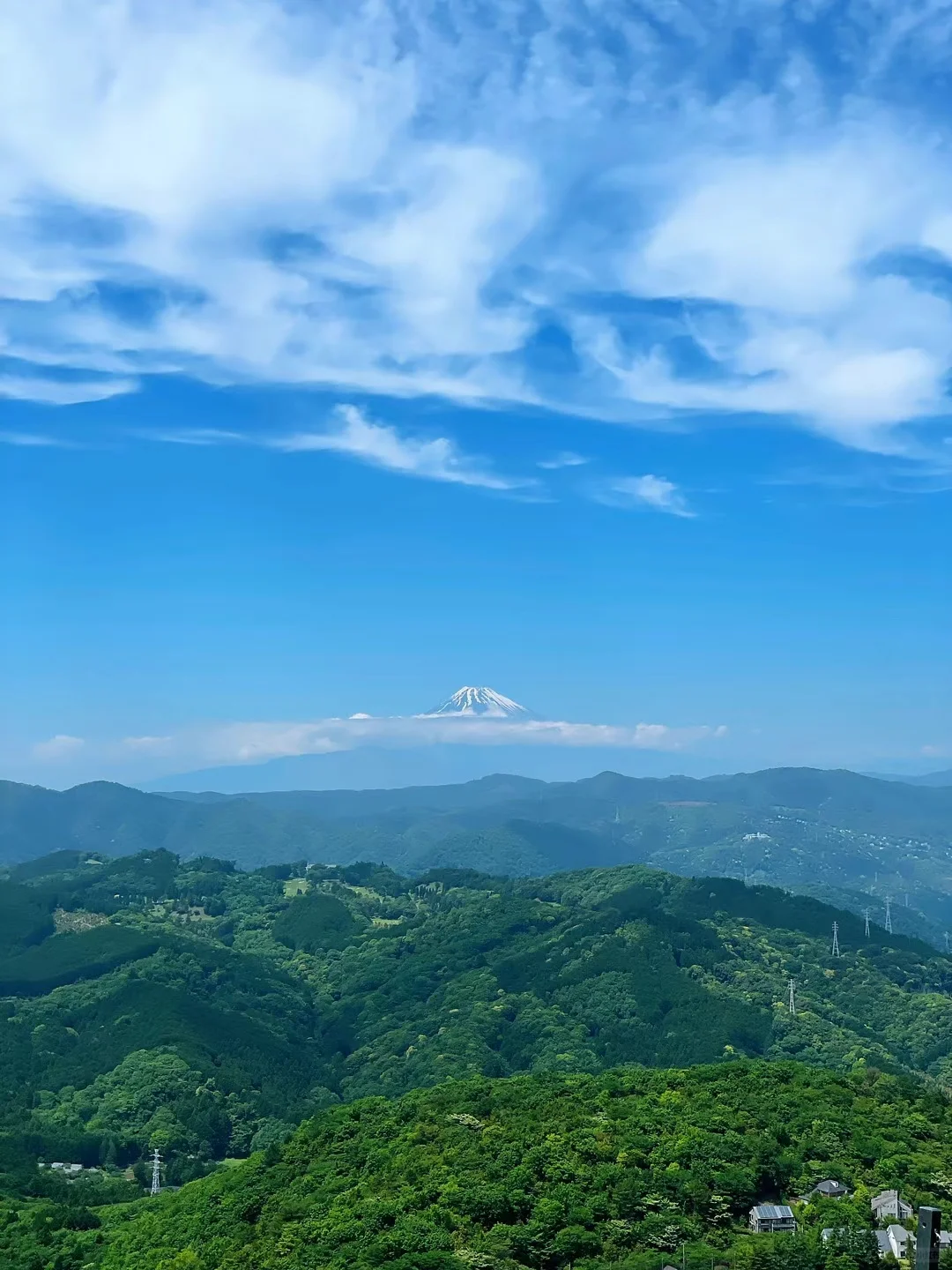 盲目低碳控糖，胰岛素抵抗加重