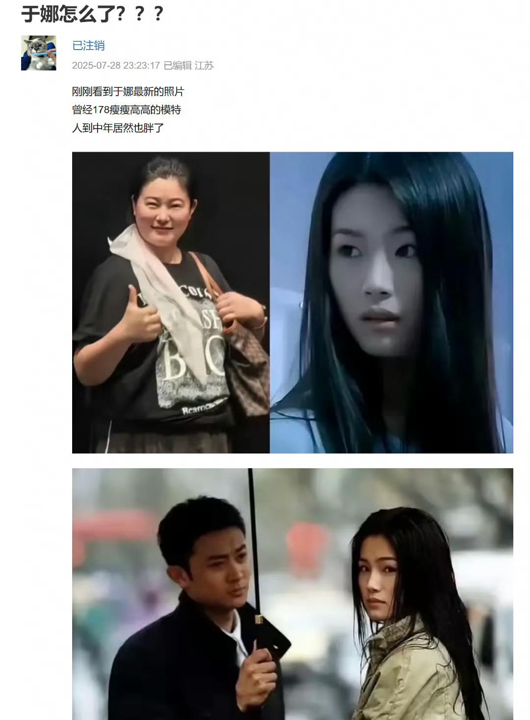 于娜的自白

嗨，亲爱的朋友们。

好久不见，我知道大家看到我现在的样子都很惊讶