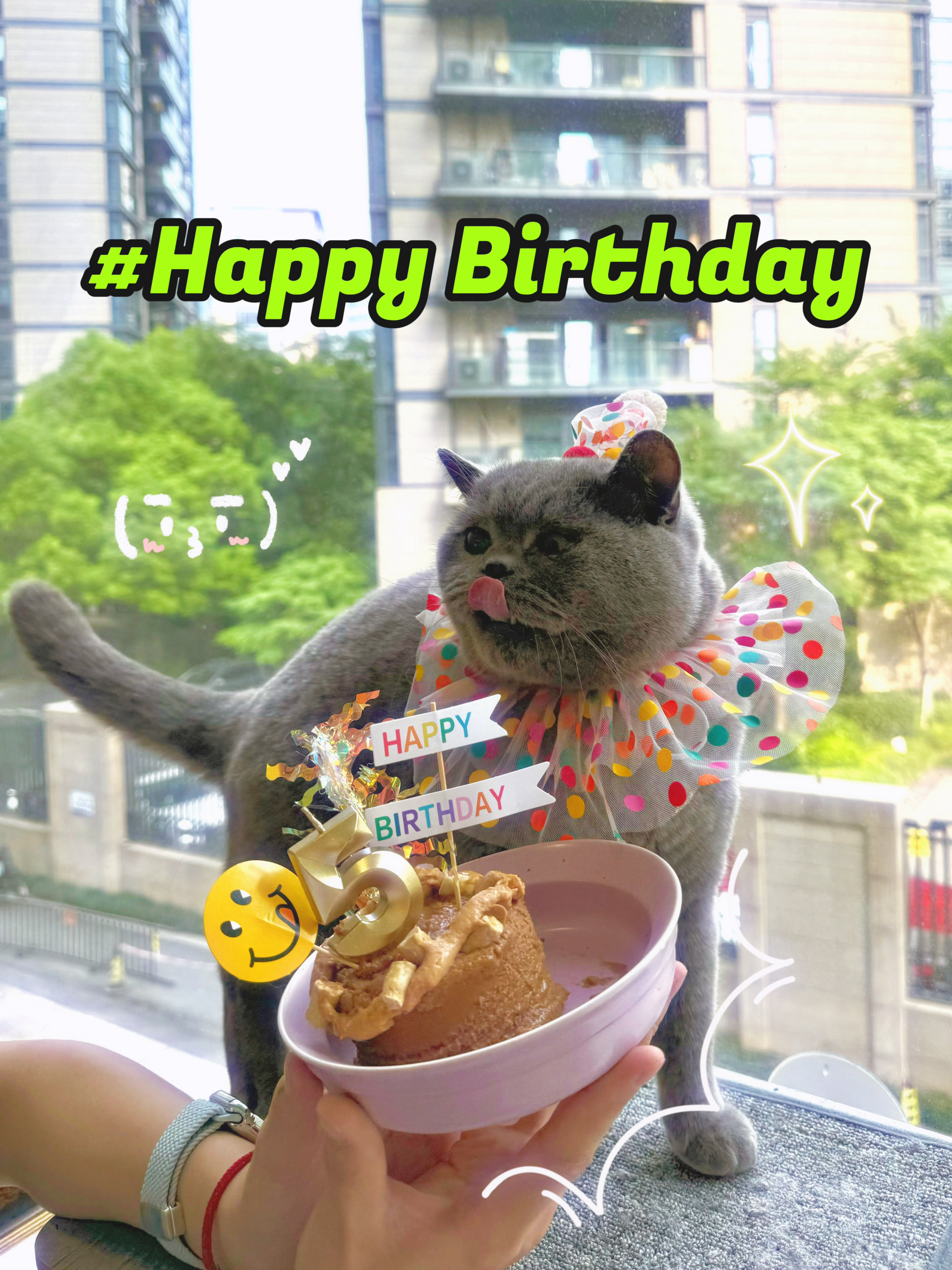 客人视角下，小明少爷的生日~ 🎂（小明在怪兽的第二个“生日”，其实是在怪兽生活