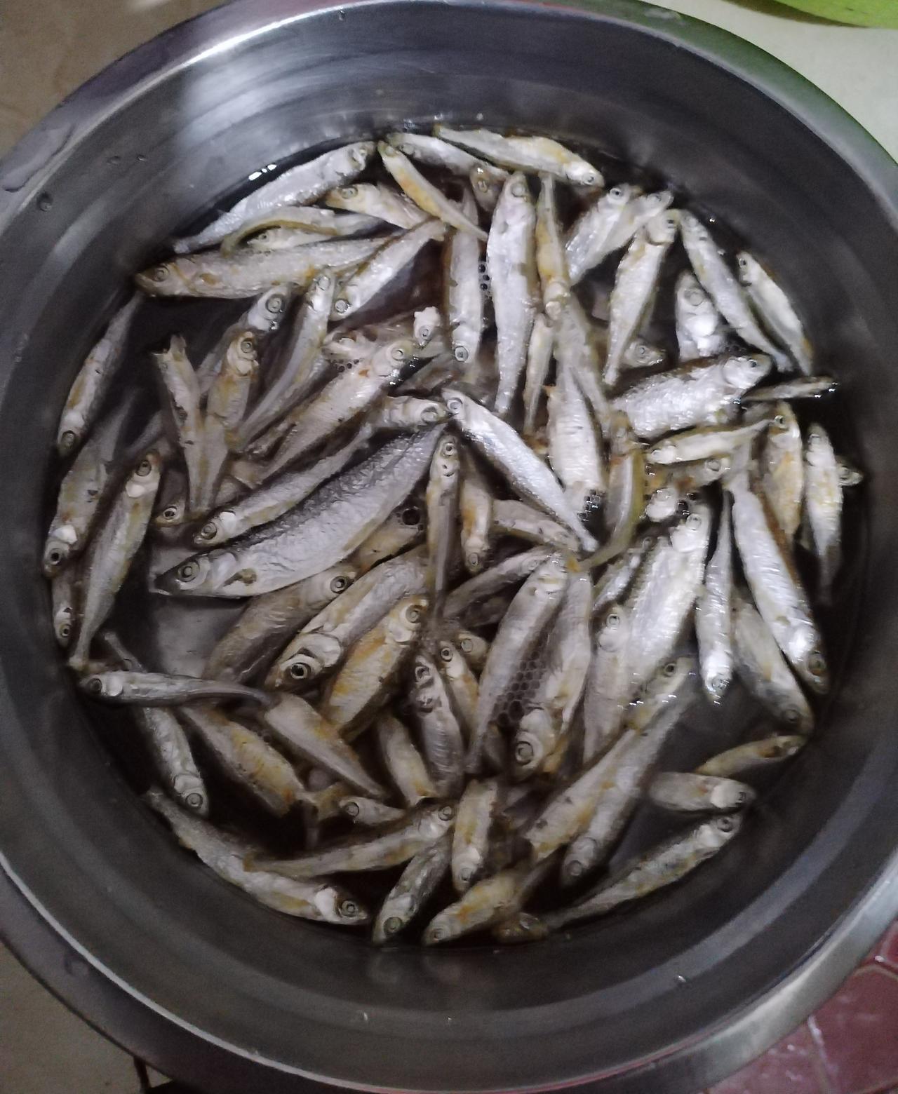 《浦北小鱼干》
条条皆不苦，产自长寿乡。
日凝鳞玉润，风带海苔香。