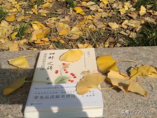 深秋了，你那里的树叶黄了吗秋风渐深，凉意慢慢漫开，枝头树叶悄悄换上金黄外衣。有的
