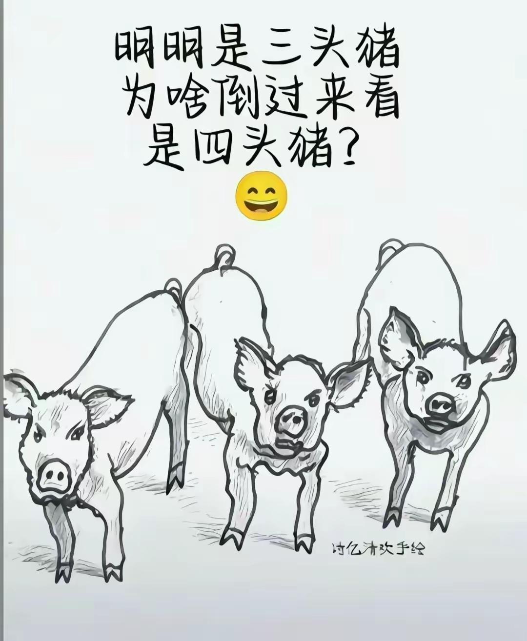 到底有几只？