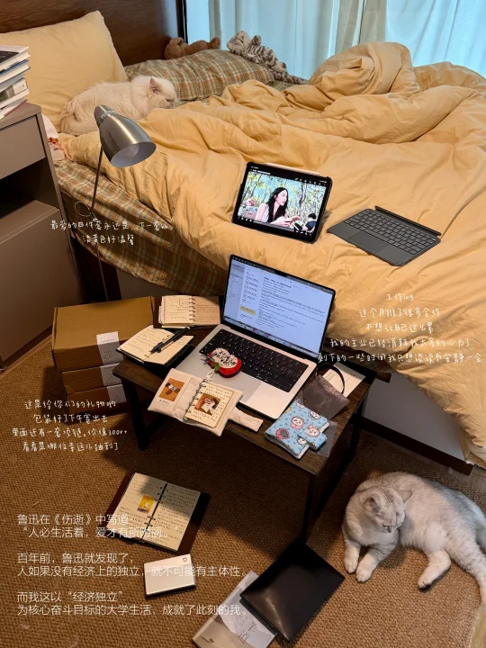 答辩通过、工作转正、过上了想象中的大四生活