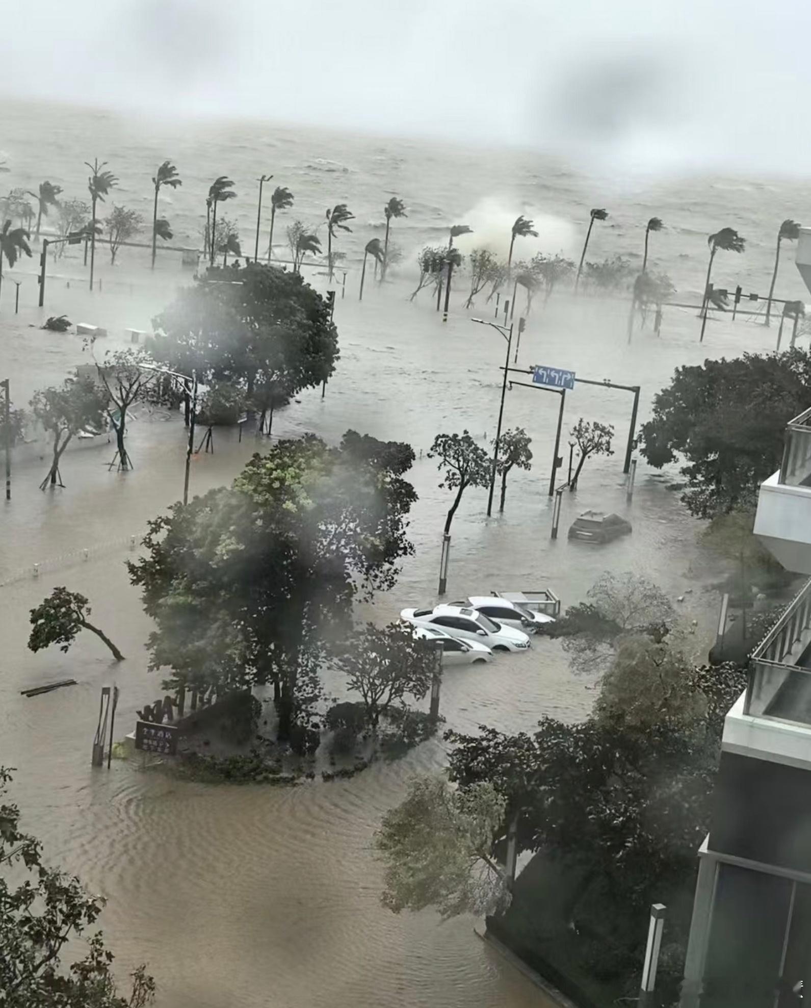 海水倒灌海水倒灌是真的太吓人了，之前只见过下太大的雨导致洪水内涝的。 