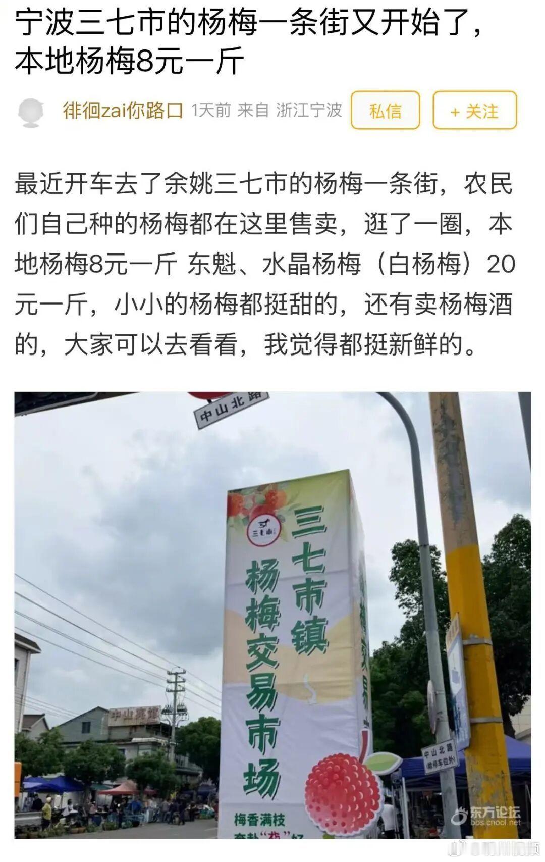 宁波杨梅大降价本地杨梅才8元一斤 近日，宁波余姚三七市杨梅迎来上市季，当地杨梅价