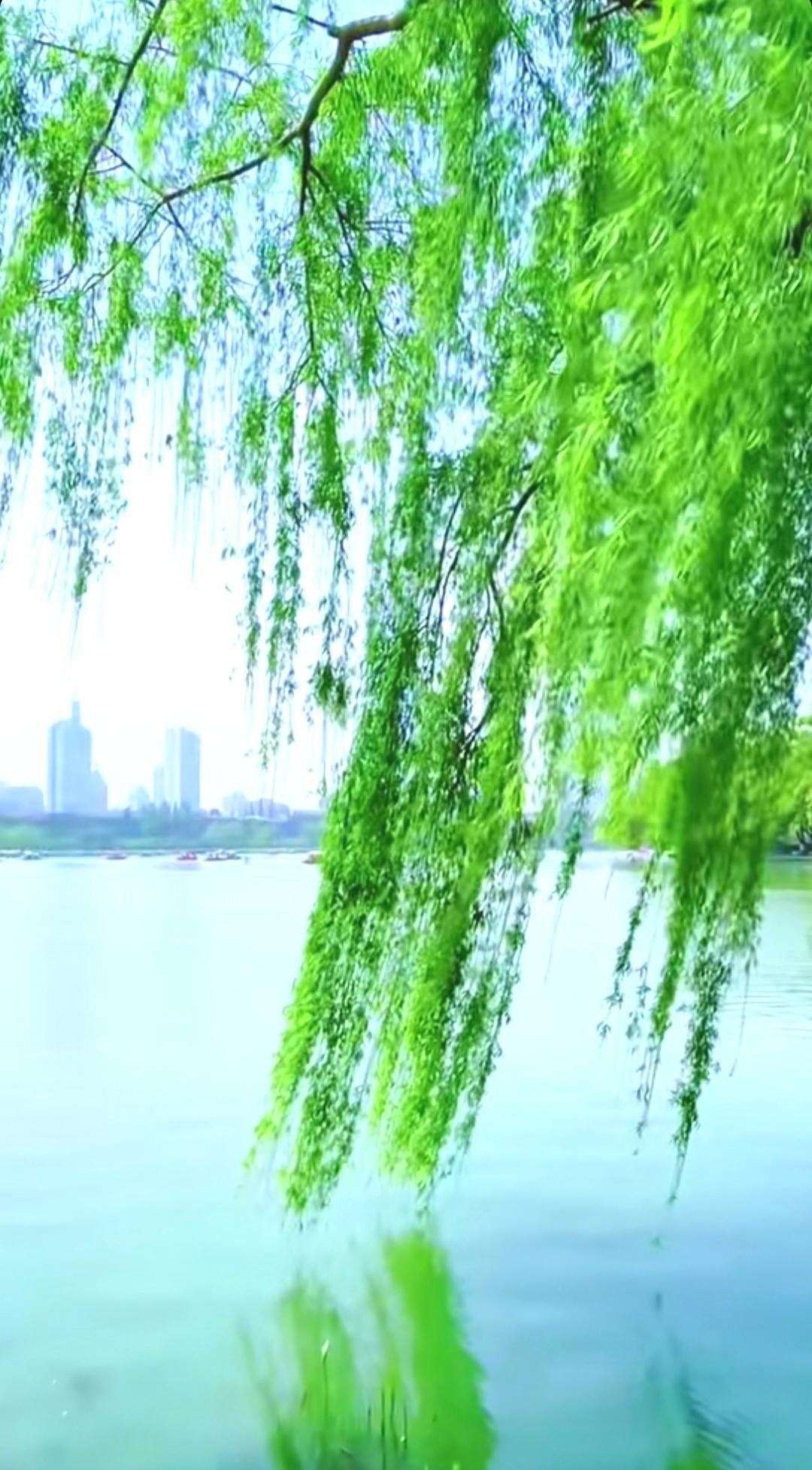 上联：春风有意梳杨柳，
下联：碧水含情映彩霞。