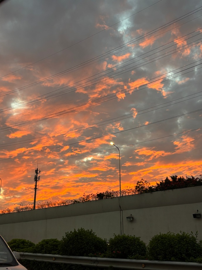 张婧仪美丽的脸和有趣的灵魂同频共振 