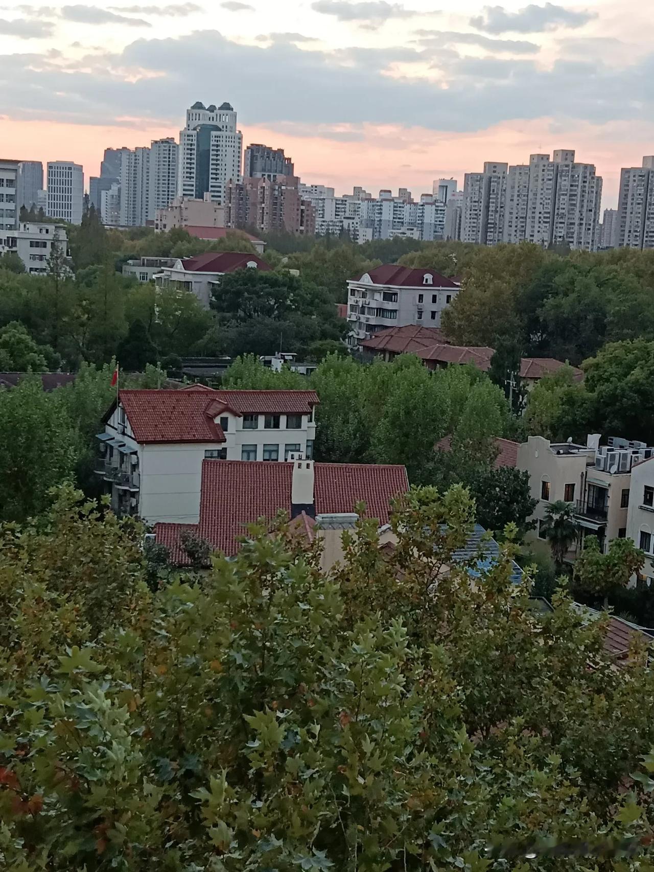 夕阳西下几时回？
鸽子飞临阳台观日落。
据说鸽子到家，财运到家。